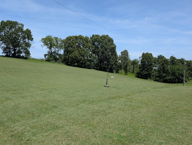 303 Melton Way, Cassville, MO 65625 - photo 7