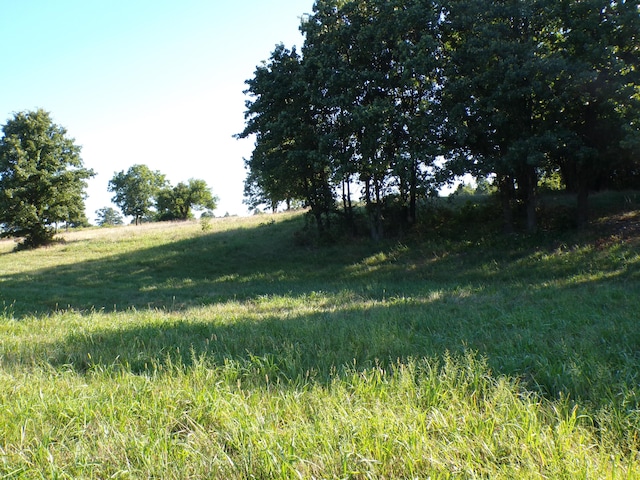 000 Lawrence Unit 2022, Miller, MO 65707 - photo 5