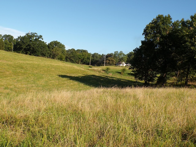 000 Lawrence Unit 2022, Miller, MO 65707 - photo 3