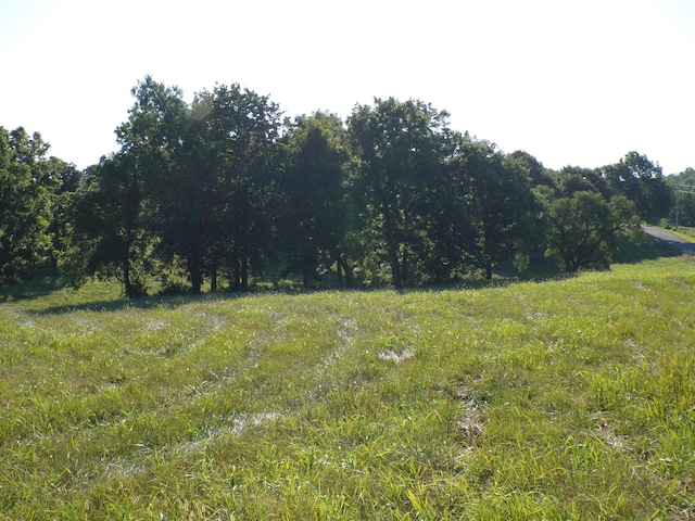 000 Lawrence Unit 2022, Miller, MO 65707 - photo 2