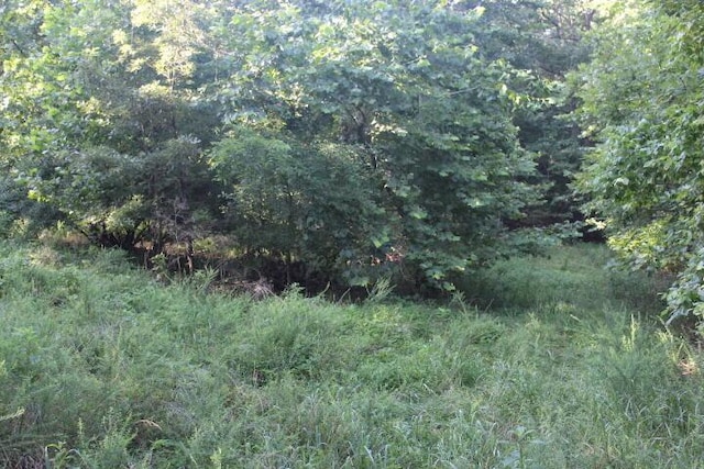 000 County Road 551, Tecumseh, MO 65760 - photo 12