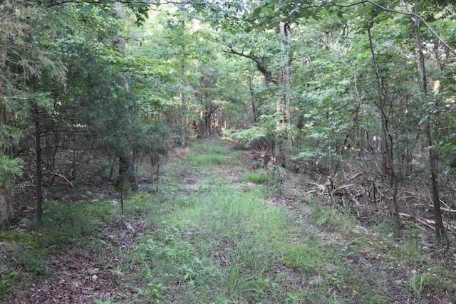 000 County Road 551, Tecumseh, MO 65760 - photo 9