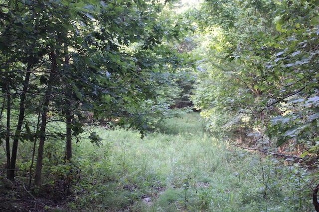000 County Road 551, Tecumseh, MO 65760 - photo 3