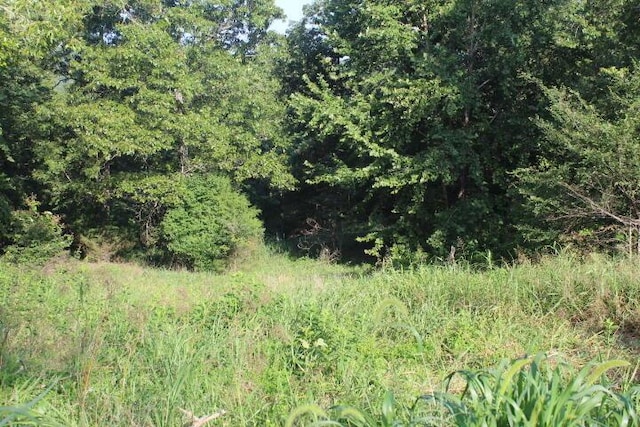 000 County Road 551, Tecumseh, MO 65760 - photo 4