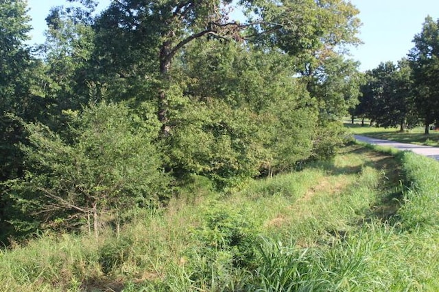 000 County Road 551, Tecumseh, MO 65760 - photo 5