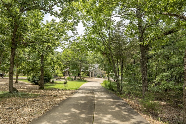 3273 Pioneer Point Rd, Galena, MO 65656 - photo 120