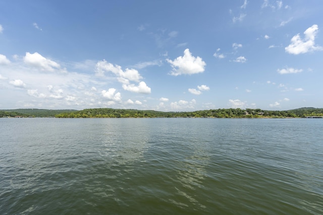 3273 Pioneer Point Rd, Galena, MO 65656 - photo 127