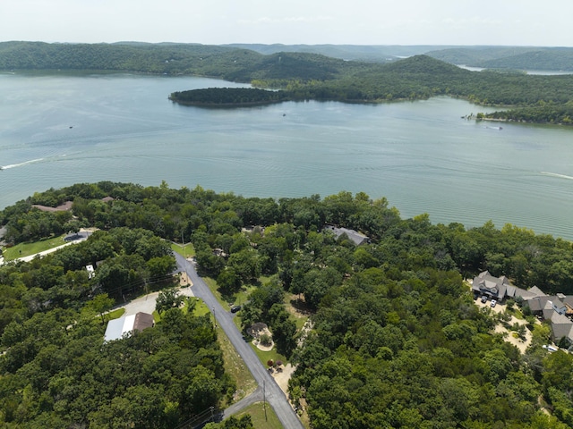 3273 Pioneer Point Rd, Galena, MO 65656 - photo 132