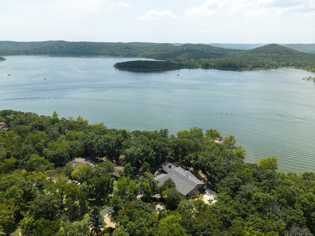 3273 Pioneer Point Rd, Galena, MO 65656 - photo 133