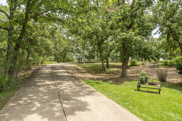 3273 Pioneer Point Rd, Galena, MO 65656 - photo 122