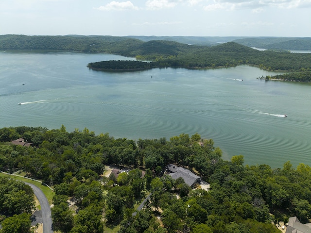 3273 Pioneer Point Rd, Galena, MO 65656 - photo 131