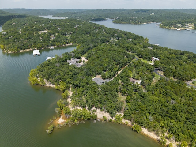 3273 Pioneer Point Rd, Galena, MO 65656 - photo 130