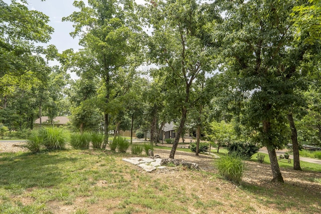 3273 Pioneer Point Rd, Galena, MO 65656 - photo 119