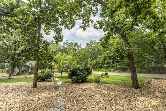 3273 Pioneer Point Rd, Galena, MO 65656 - photo 117