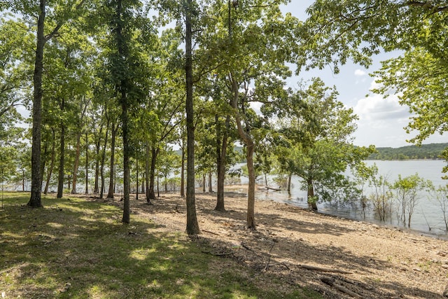 3273 Pioneer Point Rd, Galena, MO 65656 - photo 2