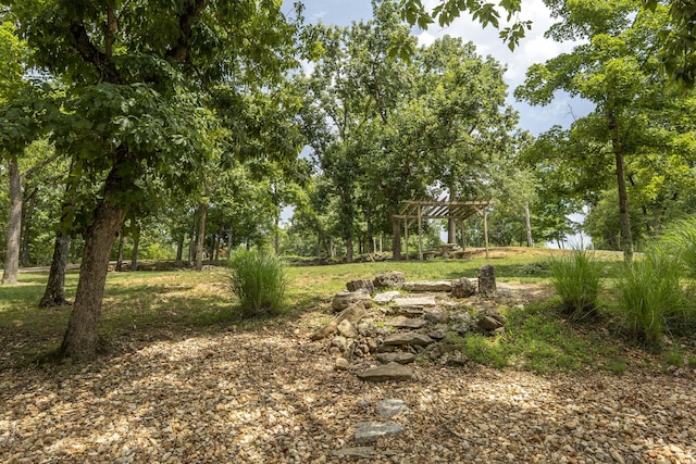 3273 Pioneer Point Rd, Galena, MO 65656 - photo 116