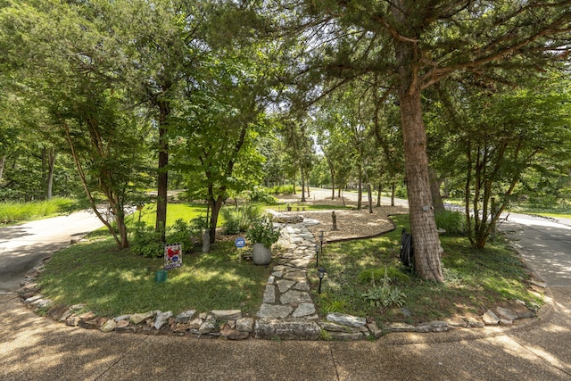 3273 Pioneer Point Rd, Galena, MO 65656 - photo 135