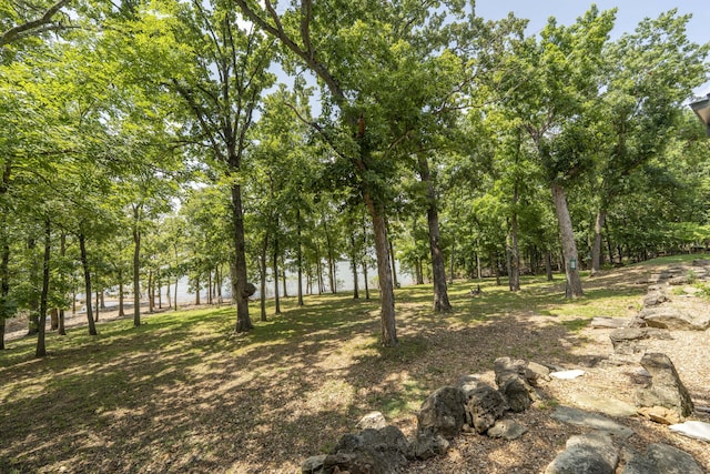3273 Pioneer Point Rd, Galena, MO 65656 - photo 125