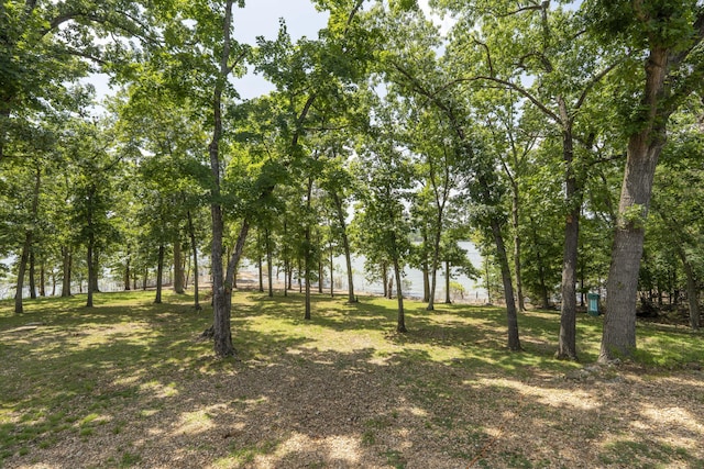 3273 Pioneer Point Rd, Galena, MO 65656 - photo 124
