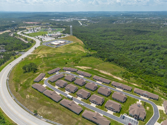 121 Vista View Dr Unit A, Branson, MO 65616 - photo 72