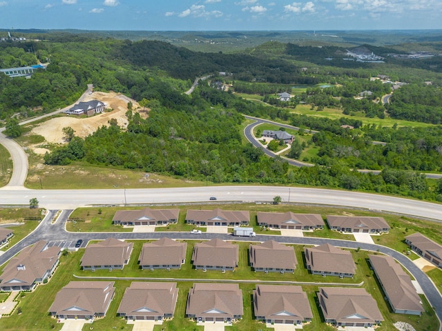 121 Vista View Dr Unit A, Branson, MO 65616 - photo 76