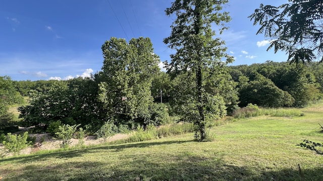 1067 Farm Rd Unit 2170, Exeter, MO 65647 - photo 20