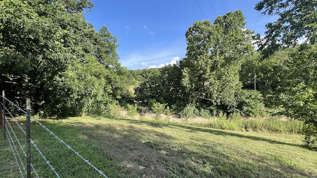 1067 Farm Rd Unit 2170, Exeter, MO 65647 - photo 19