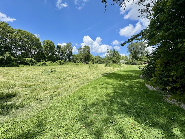 1606 E Blaine St, Springfield, MO 65803 - photo 29