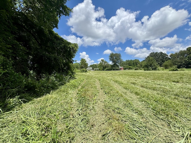 1606 E Blaine St, Springfield, MO 65803 - photo 27