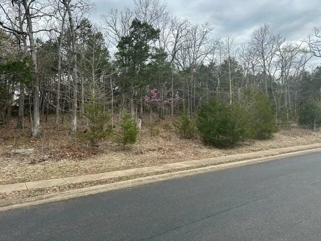 LOT63 Royal Dornoch Dr, Branson, MO 65616 - photo 3