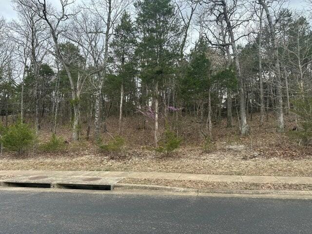 LOT63 Royal Dornoch Dr, Branson, MO 65616 - photo 2