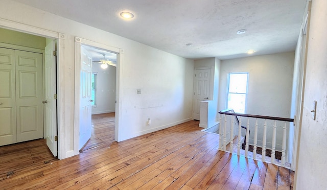 1003 W Walnut St, Springfield, MO 65806 - photo 32