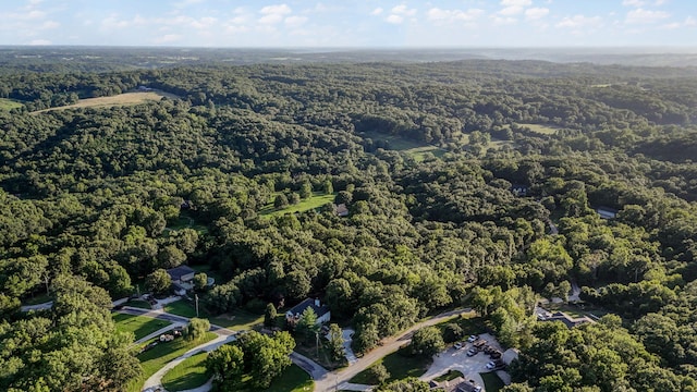 137 Spice Rd, Ozark, MO 65721 - photo 49