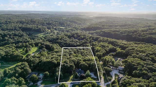 137 Spice Rd, Ozark, MO 65721 - photo 41
