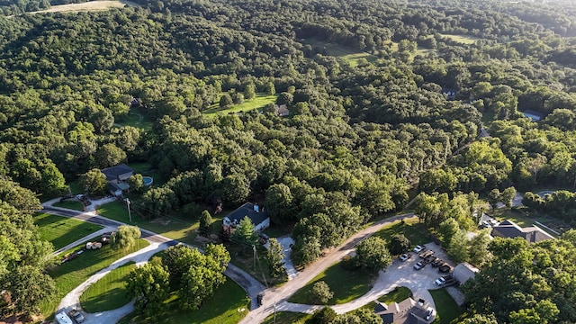 137 Spice Rd, Ozark, MO 65721 - photo 48