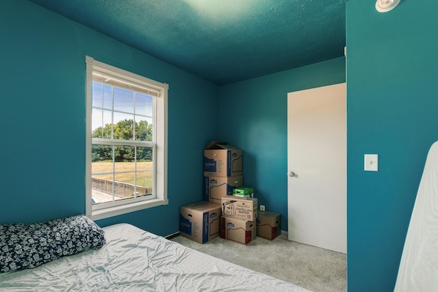 305 Hughes Rd, Willard, MO 65781 - photo 24