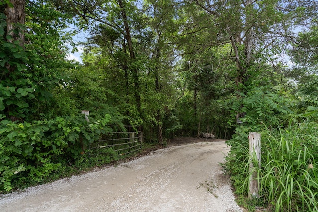 337 Jessi Rd, Forsyth, MO 65653 - photo 31