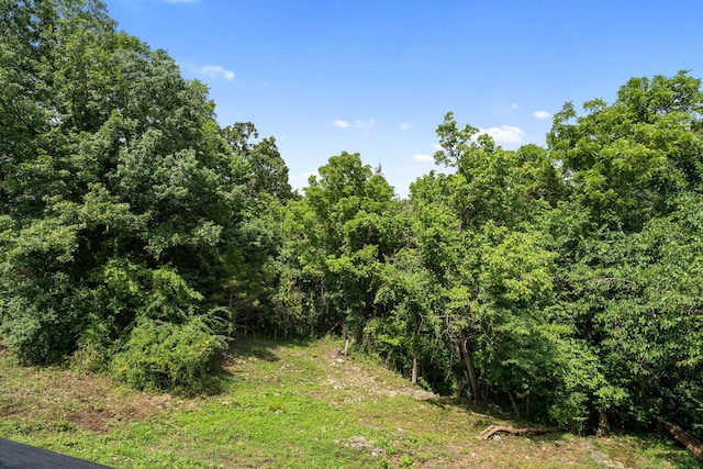 337 Jessi Rd, Forsyth, MO 65653 - photo 21