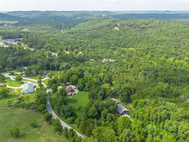 337 Jessi Rd, Forsyth, MO 65653 - photo 65