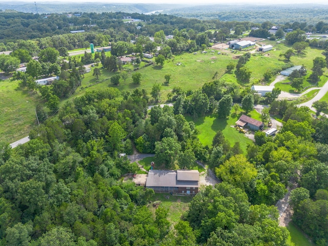 337 Jessi Rd, Forsyth, MO 65653 - photo 62