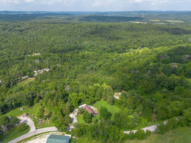 337 Jessi Rd, Forsyth, MO 65653 - photo 67