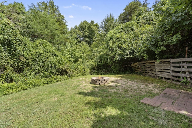 337 Jessi Rd, Forsyth, MO 65653 - photo 50