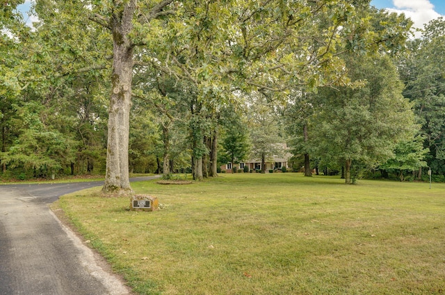 13191 Lawrence Unit 1125, Mount Vernon, MO 65712 - photo 35