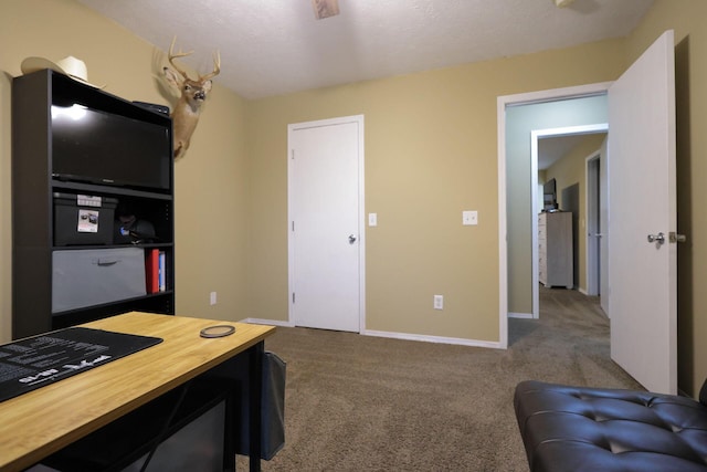 513 Osage Dr, Willard, MO 65781 - photo 18