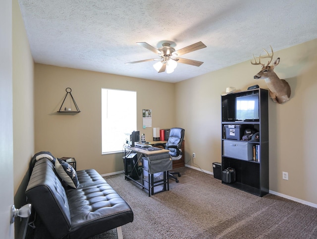 513 Osage Dr, Willard, MO 65781 - photo 17