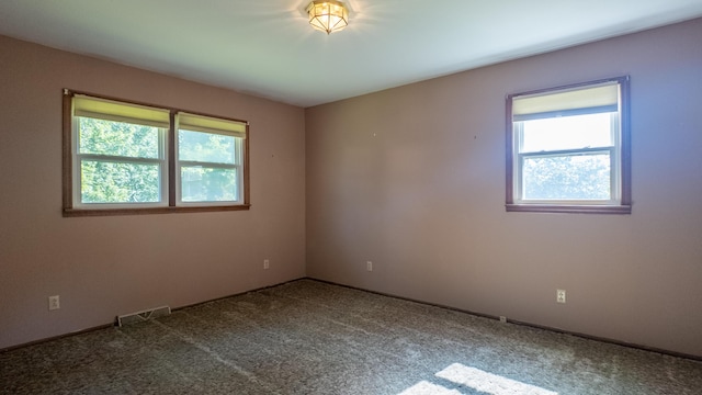 2010 Catalina Dr, West Plains, MO 65775 - photo 34