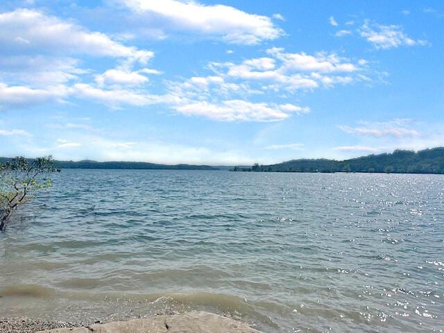 514 Mc 105, Mountain Home, AR 72653 - photo 1