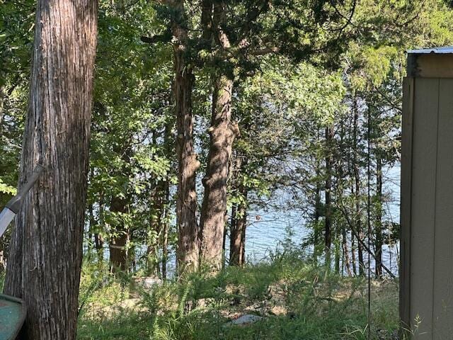 514 Mc 105, Mountain Home, AR 72653 - photo 10
