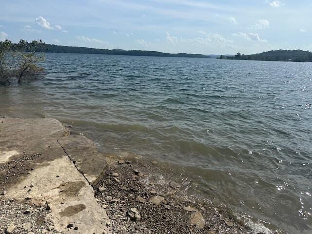 514 Mc 105, Mountain Home, AR 72653 - photo 7