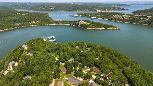 135 Long Point Ln, Ridgedale, MO 65739 - photo 35